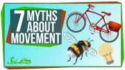 7 Myths About Movement