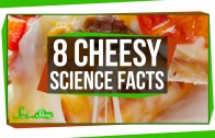 8 Cheesy Science Facts