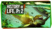 A Brief History of Life: Survival Is Hard
