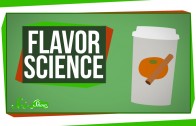 Flavor Science: What’s Really in a Pumpkin Spice Latte