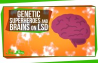 Genetic Superheroes and Brains on LSD