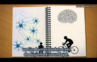 Öğrenen Beyin – The Learning Brain