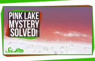 Pink Lake Mystery Solved!