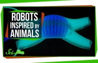 Robots Inspired By Animals