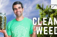 The Man Creating The Whole Foods of Weed