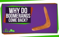 Why Do Boomerangs Come Back?