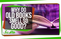 Why Do Old Books Smell So Good?