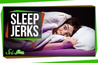 Why Do We Jump in Our Sleep?