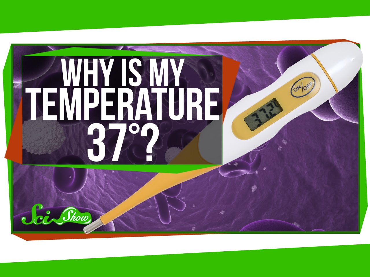 why-is-my-body-temperature-37-degrees-era-observer