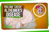 You Can “Catch” Alzheimer’s Disease