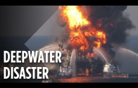 Deepwater Horizon Oil Disaster: A Survivor’s Story