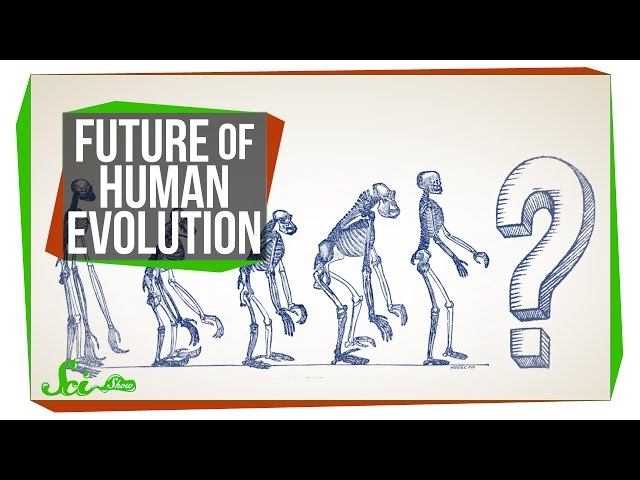 The Future Of Human Evolution | ERA Observer