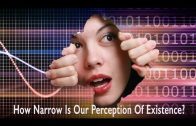 How Narrow Is Our Perception Of Existence? by Ahmed Hulusi
