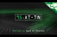 95. At-Tin – Decoding The Quran – Ahmed Hulusi