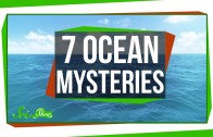 7 Things We Don’t Know About the Ocean