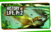 A Brief History of Life: Survival Is Hard