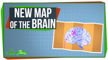 A New Map of the Human Brain!