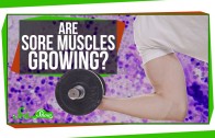 Are Sore Muscles Growing?