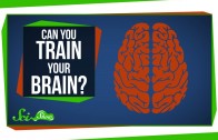 Can You Really ‘Train’ Your Brain?