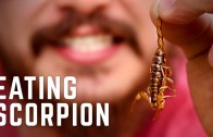 Eating Scorpion Tacos For The First Time