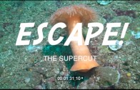 Escape! The Supercut