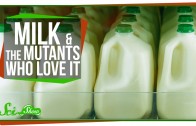 Extreme Animal Milks You Probably Don’t Want To Drink