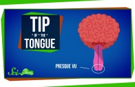 How Words Get Stuck on the Tip of Your Tongue