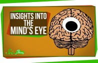New Insights Into ‘The Mind’s Eye’