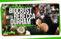 SciShow Talk Show: Biocrust with Rebecca Durham