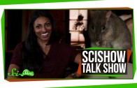 SciShow Talk Show: Crash Course Physics Host Dr. Shini Somara & Sydney the Brush-Tailed Bettong