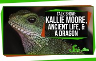 SciShow Talk Show: Kallie Moore, Ancient Life, And A Dragon