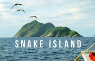 Snake Island | 100 Wonders | Atlas Obscura