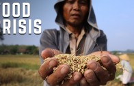 The Impact of El Niño on World Hunger