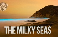The Milky Seas | 100 Wonders | Atlas Obscura