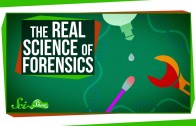 The Real Science of Forensics