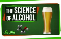 The Science of Alcohol: From Beer to Bourbon