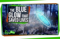 The Strange Blue Glow That Saved Lives