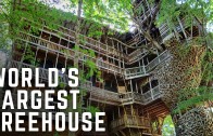 Tour The World’s Largest Treehouse