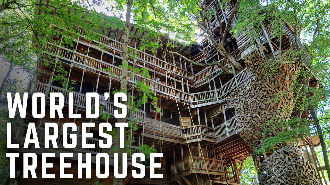 Tour The World’s Largest Treehouse | ERA Observer : An astonishing image depicting an beautiful view. The colors are vibrant and blend flawlessly. Its composition is wonderful, with the features are also highly clear.