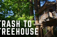 Turning Junk into Stunning Treehouses