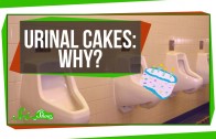 Urinal Cakes: Why?
