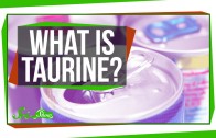What is Taurine and Why’s It in My Energy Drink?
