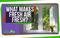 What Makes Fresh Air Fresh?