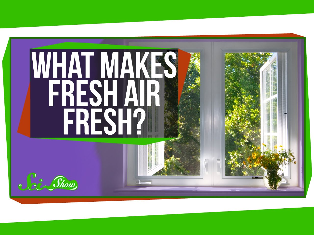 What Makes Fresh Air Fresh? ERA Observer