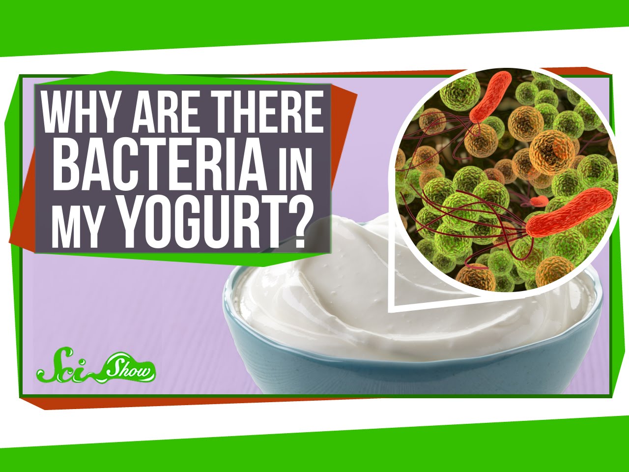 Why Are There Bacteria In My Yog 
