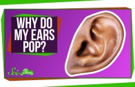 Why Do My Ears Pop?