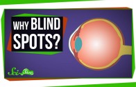 Why Do We Have Blind Spots?