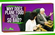 Why Does Plane Food Taste So Bad?