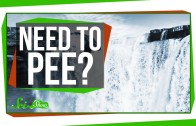 Why Does Running Water Make You Want To Pee?