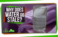 Why Does Water Go Stale Overnight?